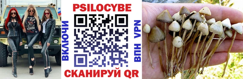 Галлюциногенные грибы мицелий  OMG ТОР  Сычёвка 